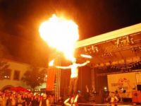 Feuershow-aus-Zwickau-Sachsen-05